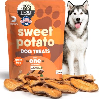 Davie's Sweet Potato Dog Treats - Healthy Treats Made in USA Only, Natural Treats, Healthy Dog Chews, Low Fat Treats, 1 lb. Bag